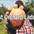 4 Best Orchard Ladders: Pick Your Fruit Trees Safely!